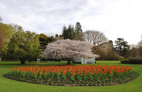 Hagley Park and the Botanic Gardens